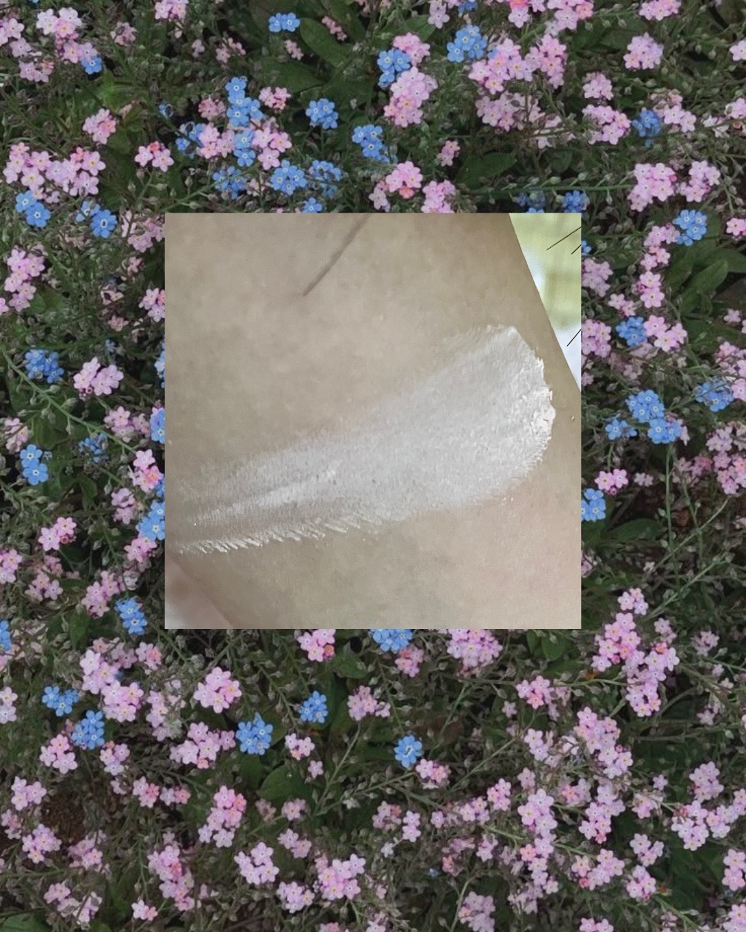 ベアブラッシャー パフ付き/フォレンコス/パウダーチークを使ったクチコミ（3枚目）