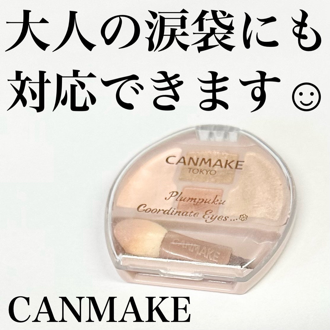 プランぷくコーデアイズ/キャンメイク/パウダーアイシャドウを使ったクチコミ(1枚目)