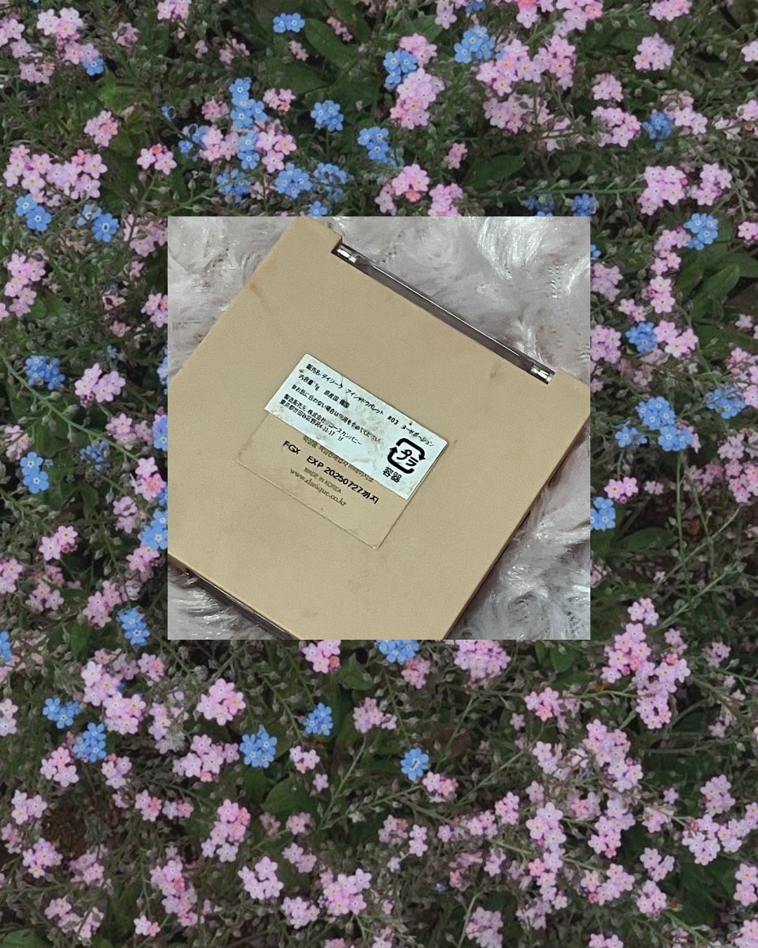 シャドウパレット/dasique/アイシャドウパレットを使ったクチコミ(6枚目)