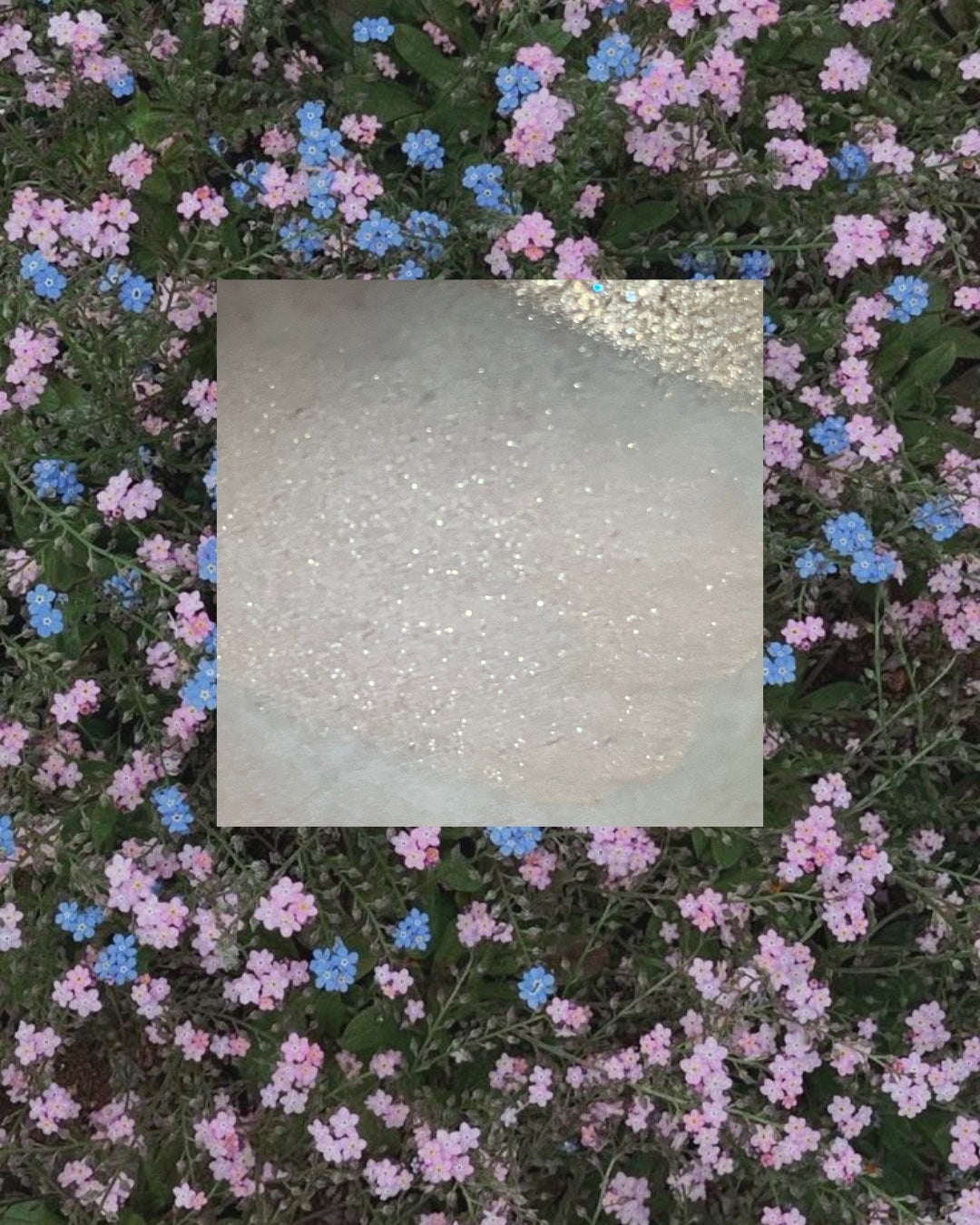 シャドウパレット/dasique/アイシャドウパレットを使ったクチコミ(3枚目)