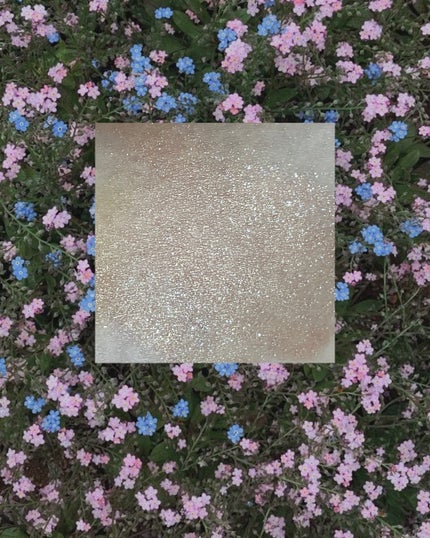 シャドウパレット/dasique/アイシャドウパレットを使ったクチコミ(5枚目)