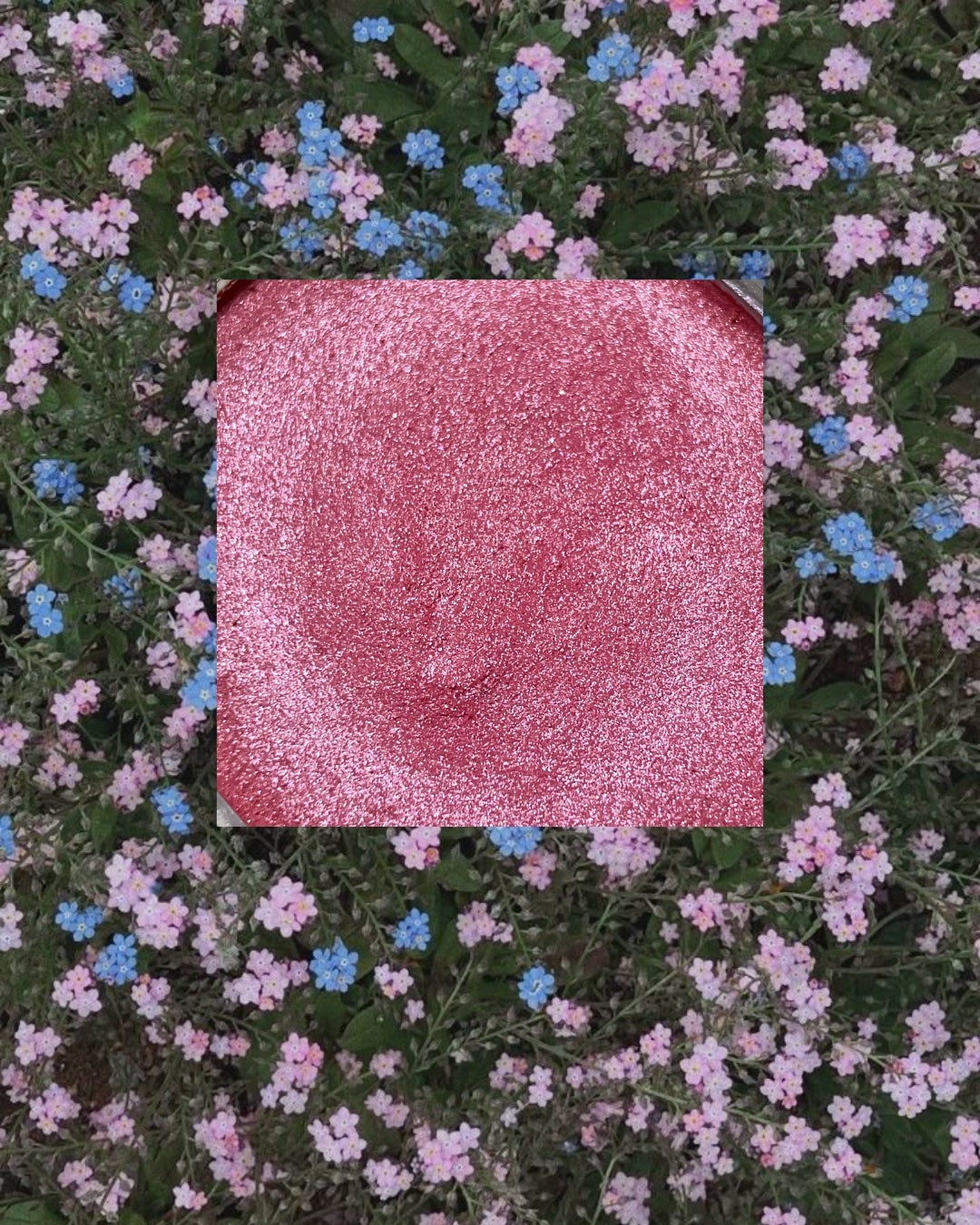 クリームチーク(パールタイプ)/キャンメイク/ジェル・クリームチークを使ったクチコミ(1枚目)