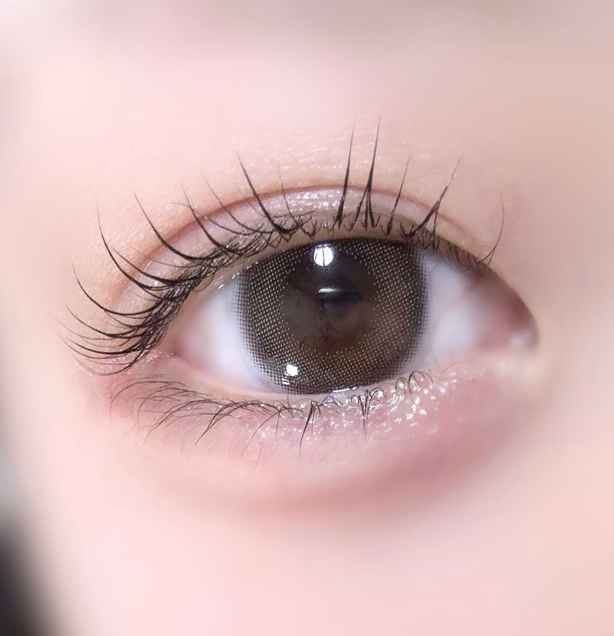 マランマラン ワンデー/malun malun/ワンデー(1DAY)カラコンを使ったクチコミ(1枚目)