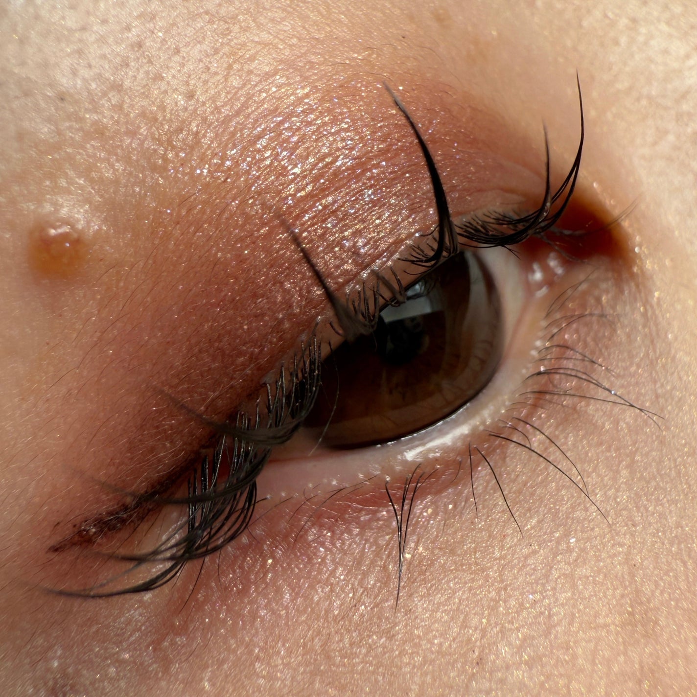 シグニチャー カラー アイズ/SUQQU/アイシャドウパレットを使ったクチコミ(2枚目)