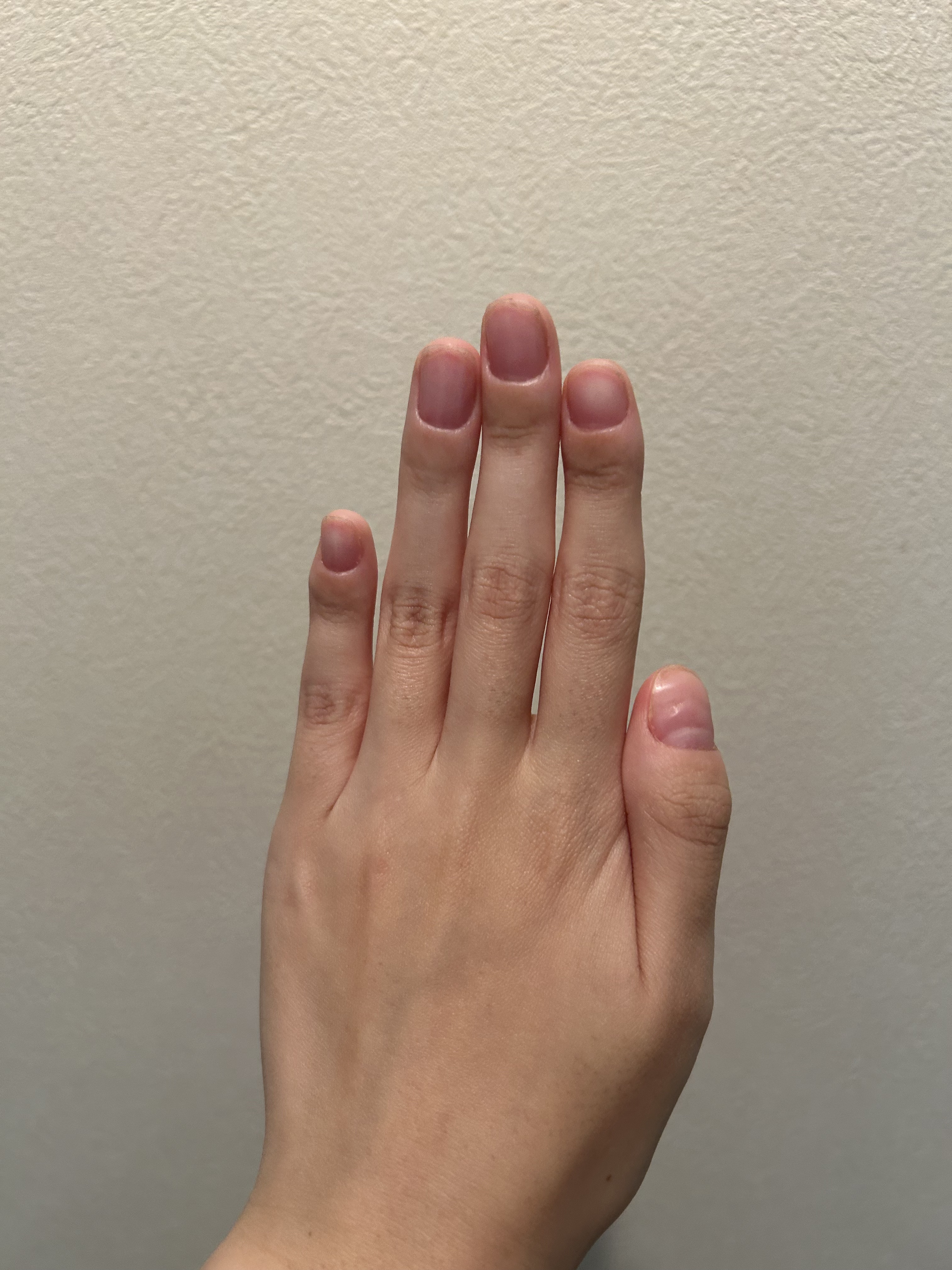 ボタニカルネイルオイル/キャンメイク/ネイルオイル・トリートメントを使ったクチコミ（1枚目）