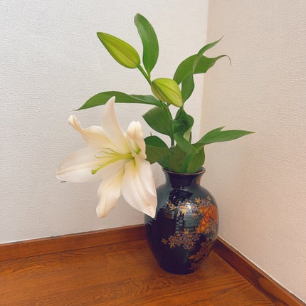 ひふみレイキ💫フォロバ♾️ on LIPS 「8人きょうだいの長女のわたし小さい頃から毎月のように誰かのバー..」(9枚目)