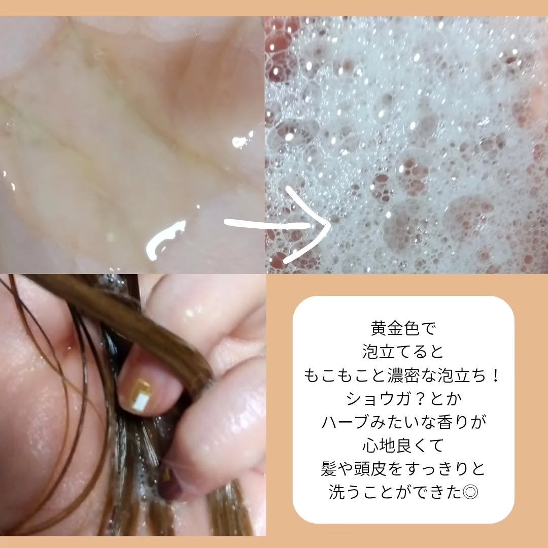 Seika 全 シャンプー/王子製薬/市販シャンプーを使ったクチコミ(3枚目)