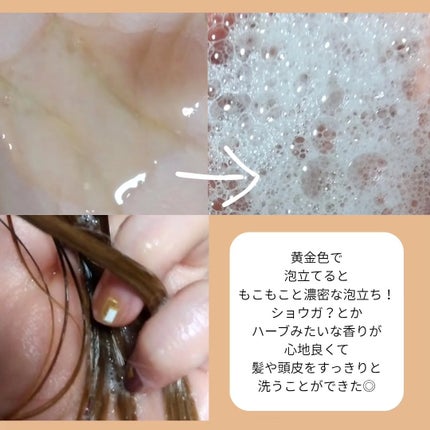 Seika å
š ã·ã£ã³ããŒ/çå補è¬/åžè²©ã·ã£ã³ããŒã䜿ã£ãã¯ãã³ãïŒ3æç®ïŒ