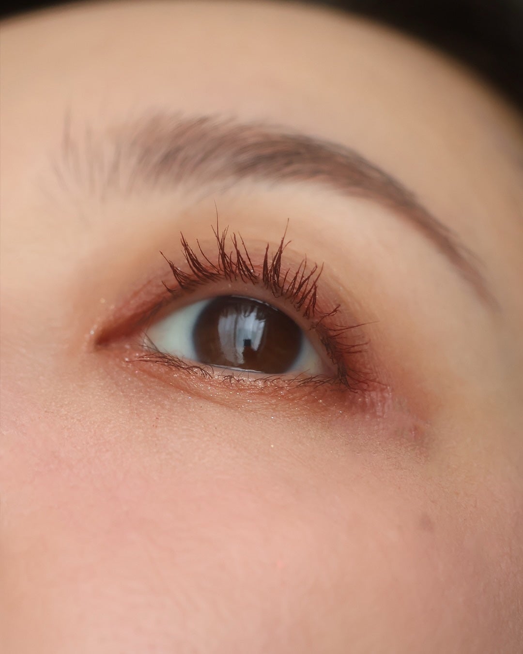 シャドウパレット/dasique/アイシャドウパレットを使ったクチコミ(4枚目)