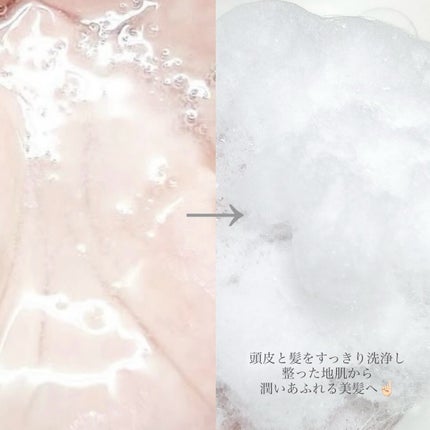 Seika 全 シャンプー/王子製薬/市販シャンプーを使ったクチコミ(3枚目)