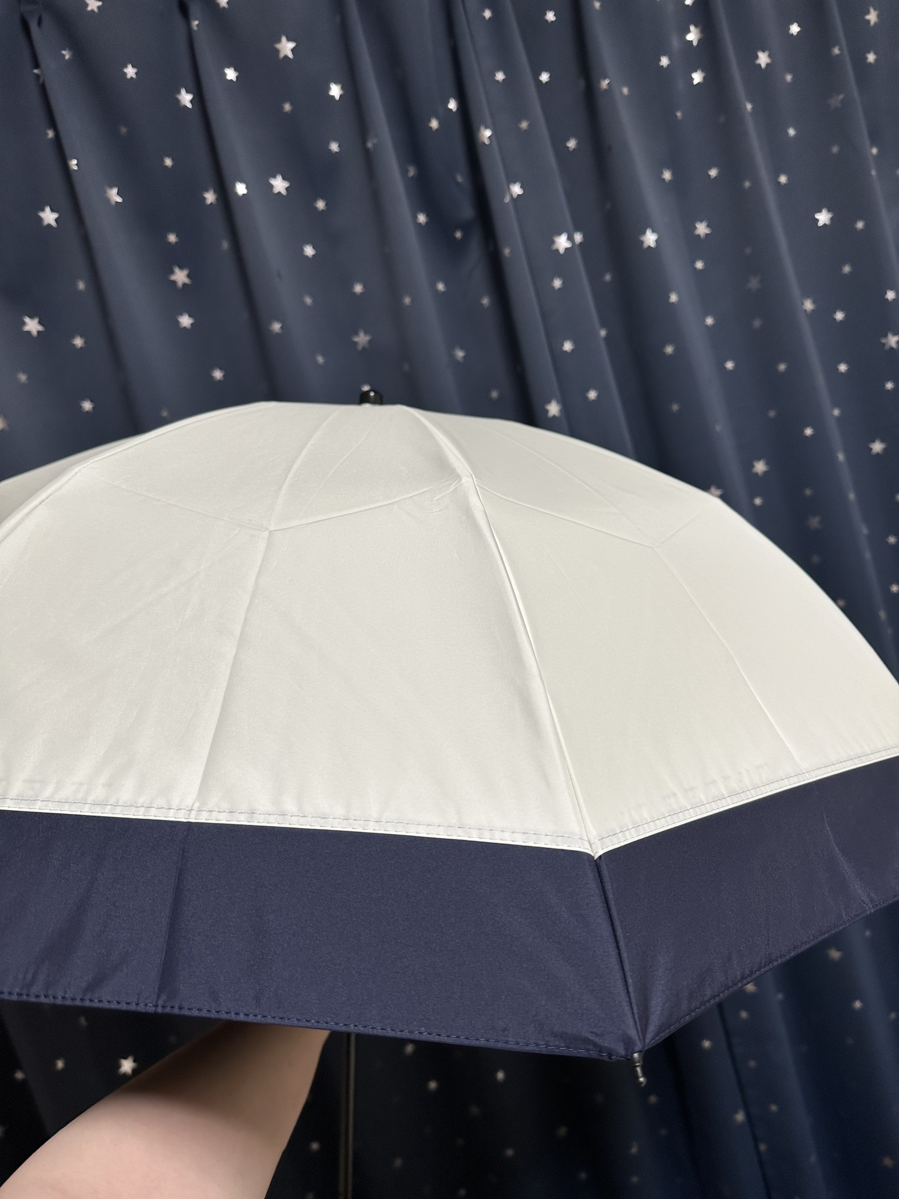 100%完全遮光 日傘/Rose Blanc/日傘を使ったクチコミ（2枚目）