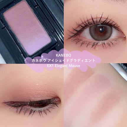 YSL メイクミーブラッシュ パウダー/YVES SAINT LAURENT BEAUTE/パウダーチークを使ったクチコミ(2枚目)