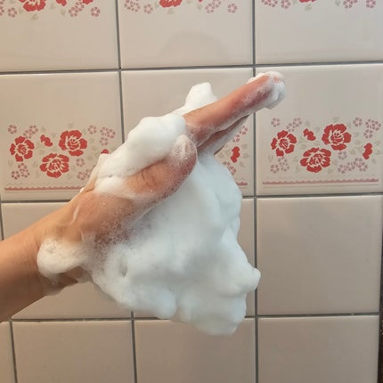 ナールスフォーム/ナールス/洗顔パウダーを使ったクチコミ(5枚目)