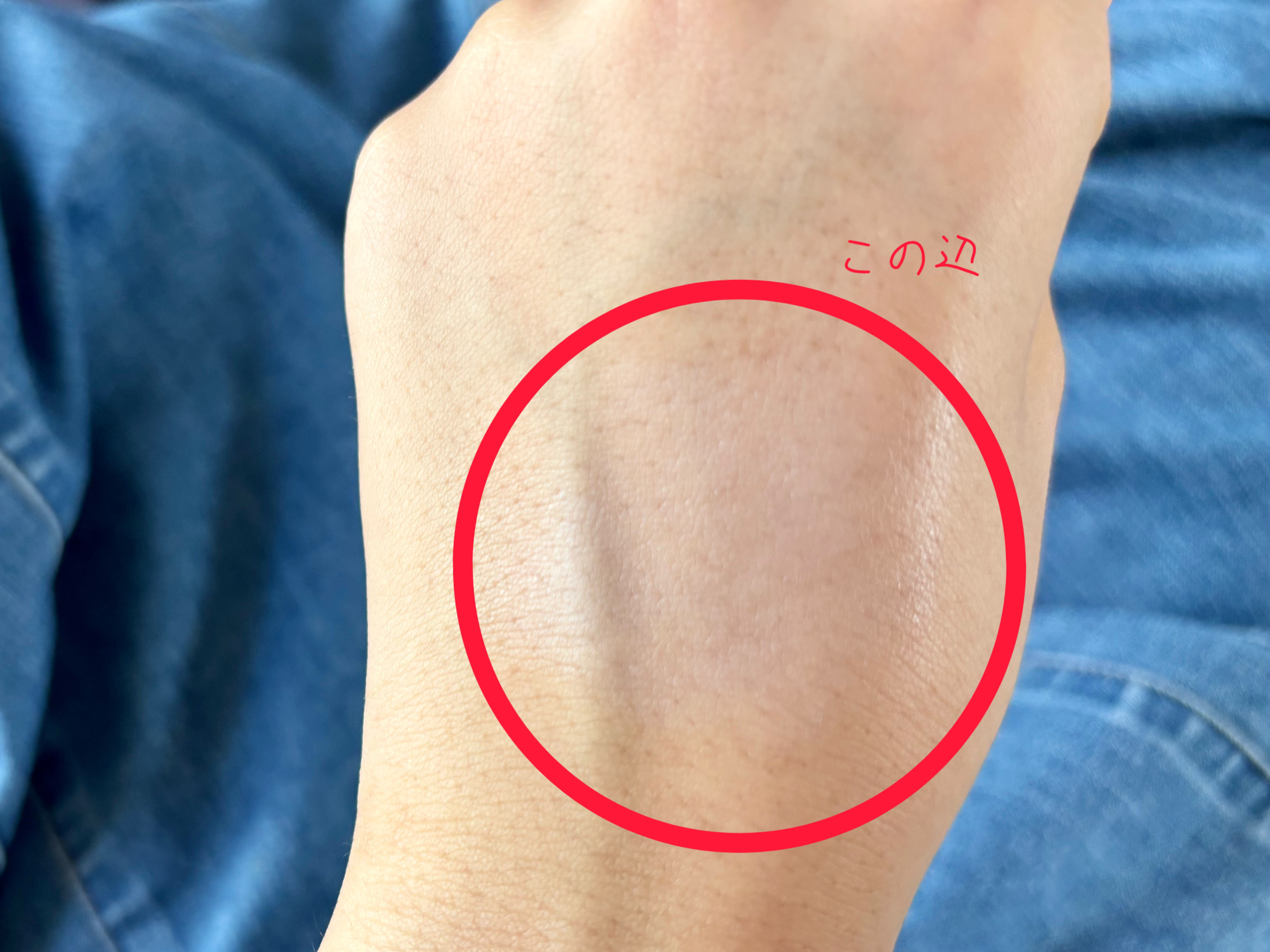 プロテクティング プライマー/PAUL & JOE BEAUTE/化粧下地を使ったクチコミ（2枚目）