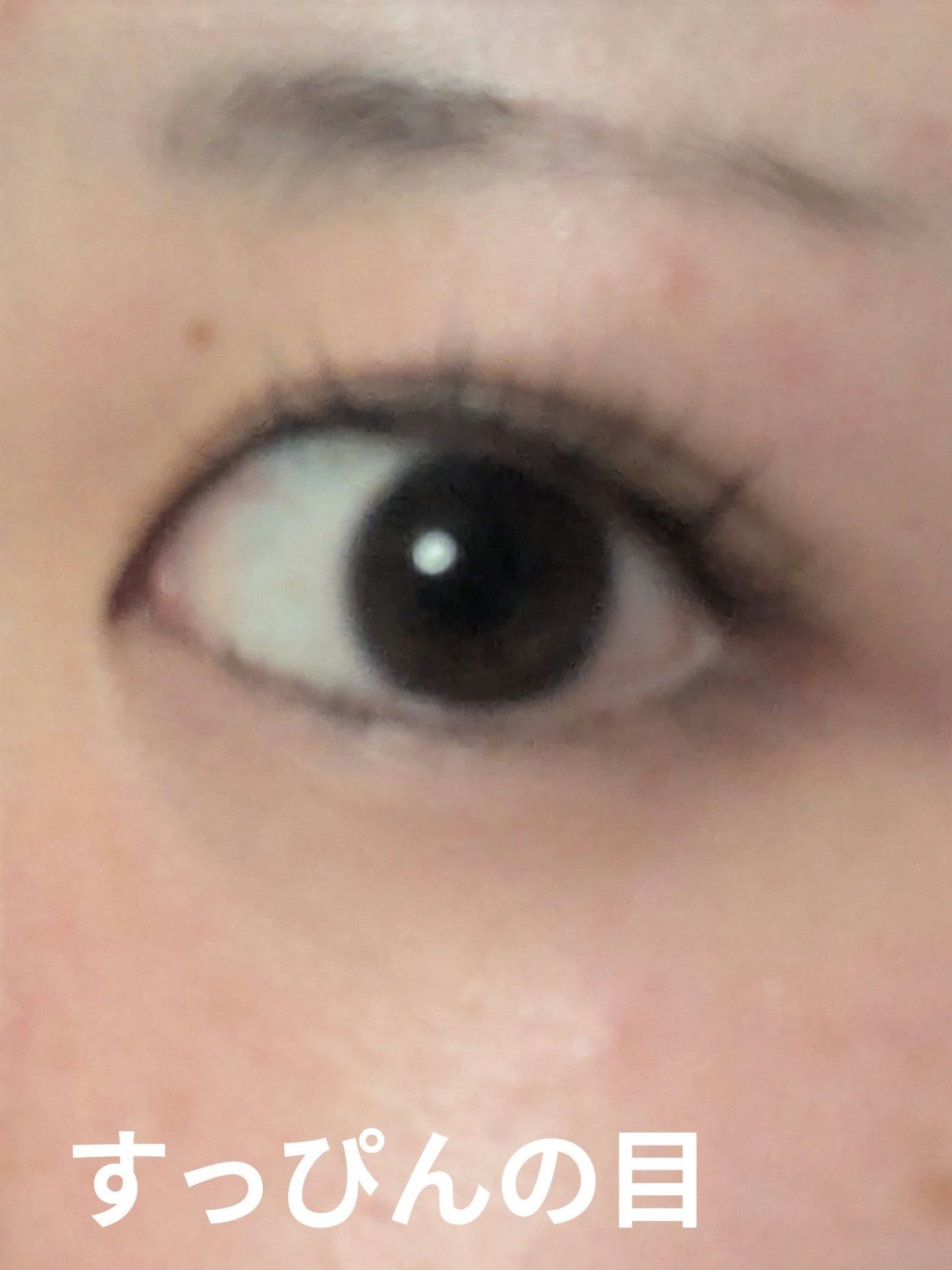 エバーカラーワンデー ナチュラル/エバーカラー/ワンデー(1DAY)カラコンを使ったクチコミ(5枚目)