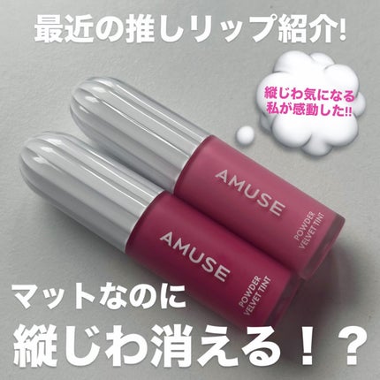 パウダーベルベットティント/AMUSE/リップティントを使ったクチコミ(1枚目)