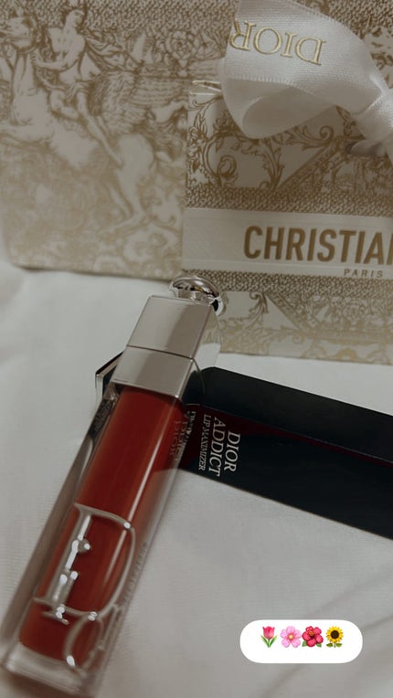 ディオール アディクト リップ マキシマイザー 039インテンス シナモン/Dior/リップグロスの画像