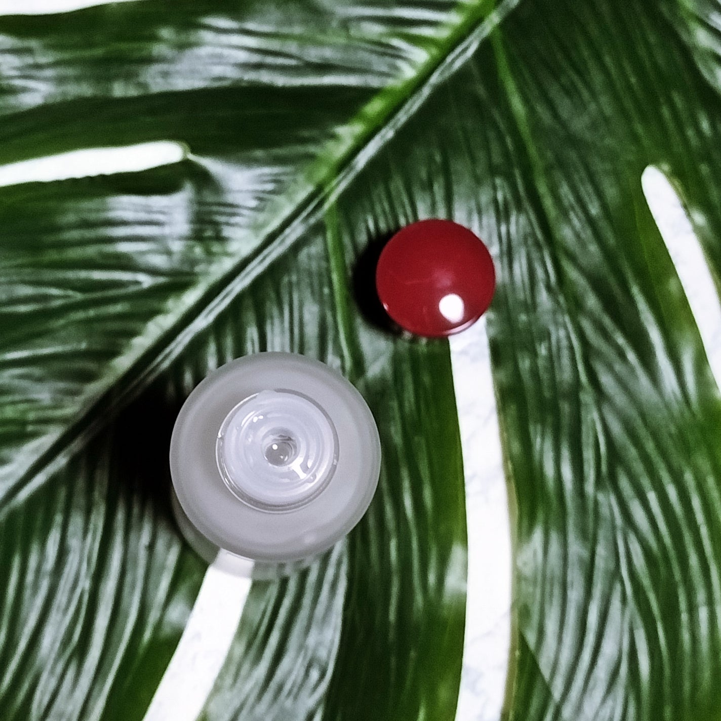 いちごみるく on LIPS 「GinzabyCLEAR美容液ローションサロン発信で産まれた業..」(3枚目)