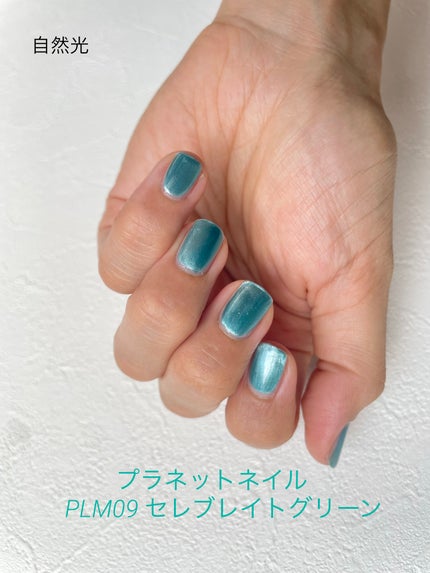 マグネットシリーズ/PLANET NAIL/ジェルネイルを使ったクチコミ(1枚目)