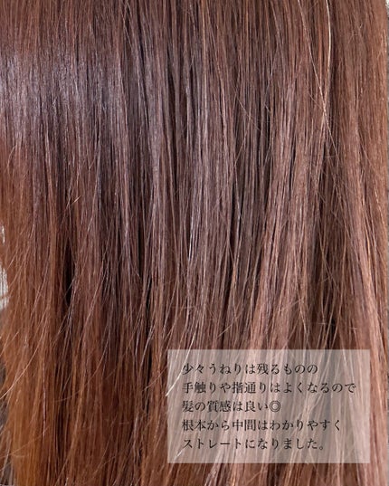 ã¹ãã¬ãŒãã·ã£ã³ããŒ/ã¹ãã¬ãŒãããªãŒãã¡ã³ã/Straine/åžè²©ã·ã£ã³ããŒã䜿ã£ãã¯ãã³ãïŒ5æç®ïŒ