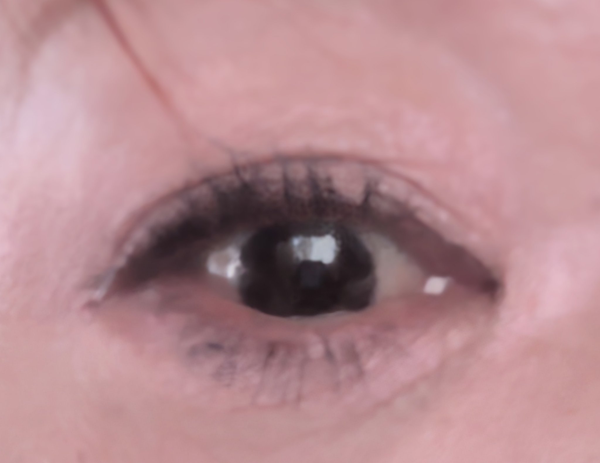 ラッシュエキスパンダー ロングロングロング EX/MAJOLICA MAJORCA/マスカラを使ったクチコミ（2枚目）