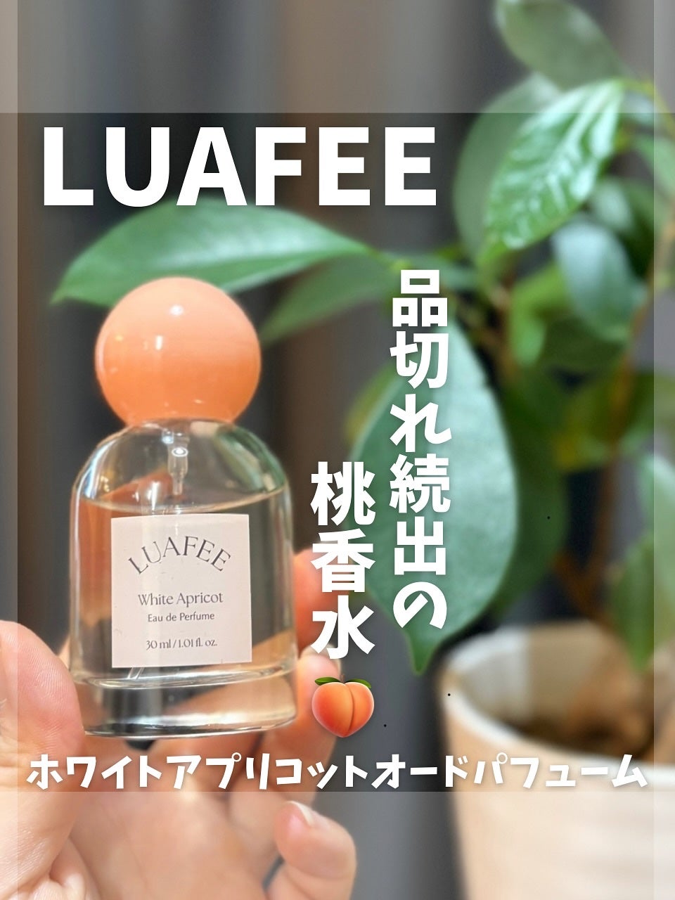 ホワイトアプリコット/LUAFEE/香水(レディース)を使ったクチコミ(1枚目)
