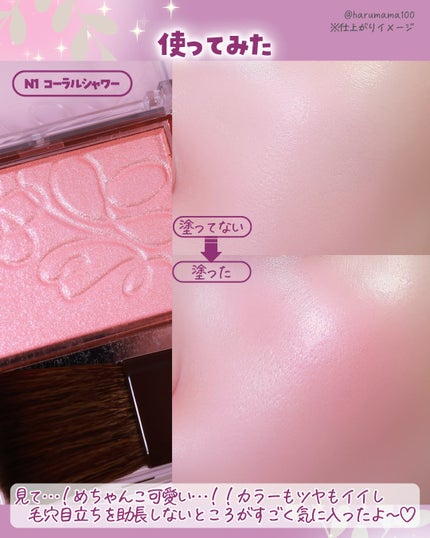 パールグロウニュアンサー/CEZANNE/パウダーハイライトを使ったクチコミ(5枚目)