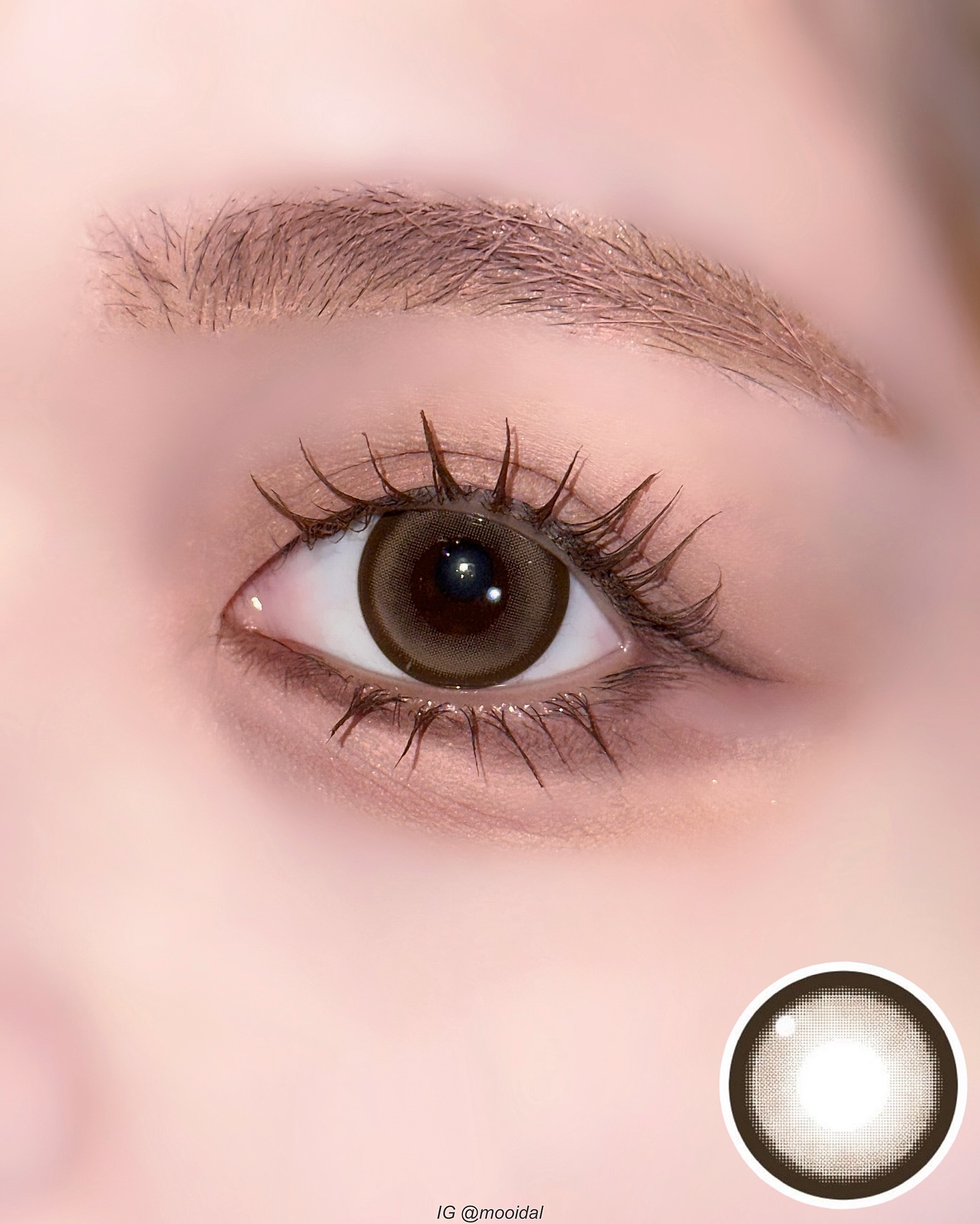 candymagic1day（キャンディーマジックワンデー）/candy magic/ワンデー（１DAY）カラコンを使ったクチコミ（3枚目）