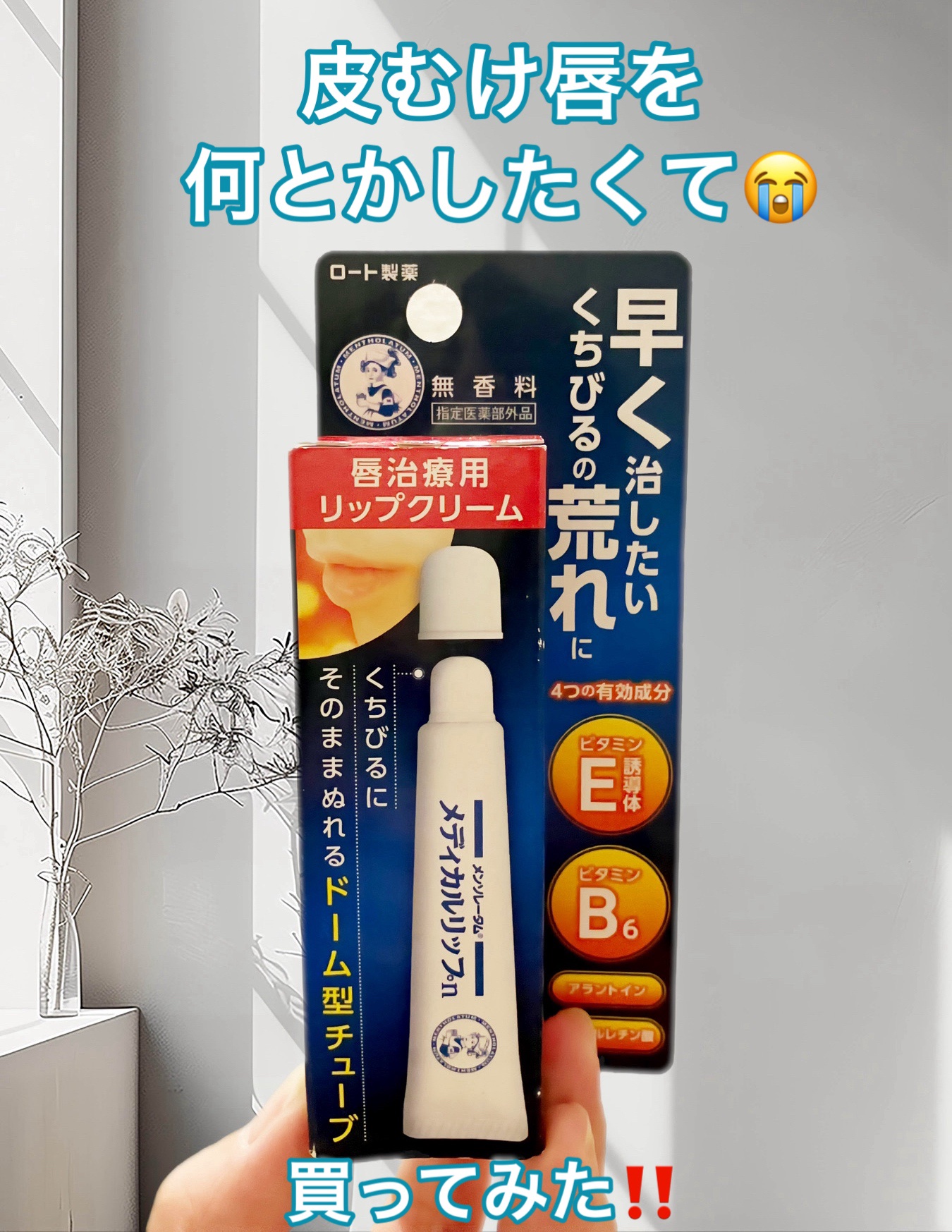 メディカルリップn(医薬品)/メンソレータム/その他を使ったクチコミ（1枚目）