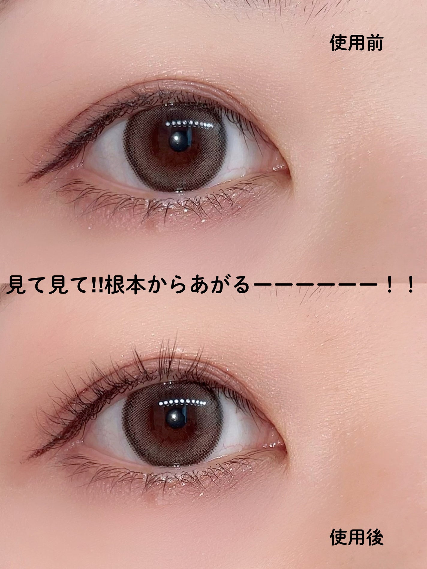 ひとえ・奥ぶたえ用カーラー/アイプチ®/ビューラーを使ったクチコミ(3枚目)