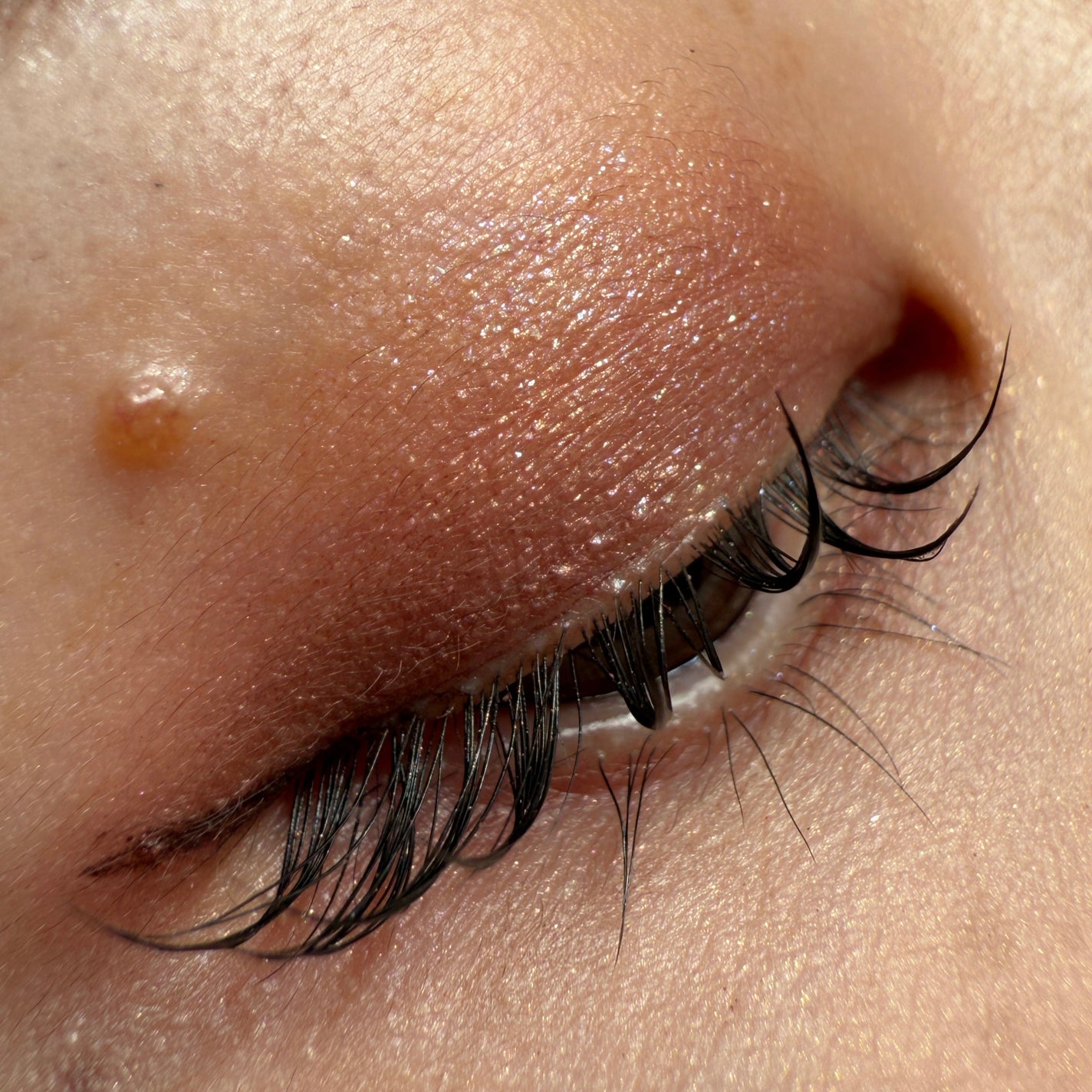 シグニチャー カラー アイズ/SUQQU/アイシャドウパレットを使ったクチコミ(3枚目)