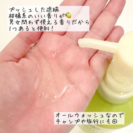 サニーサワー ジューシー オールウォッシュ/IGNIS/ボディソープを使ったクチコミ(4枚目)