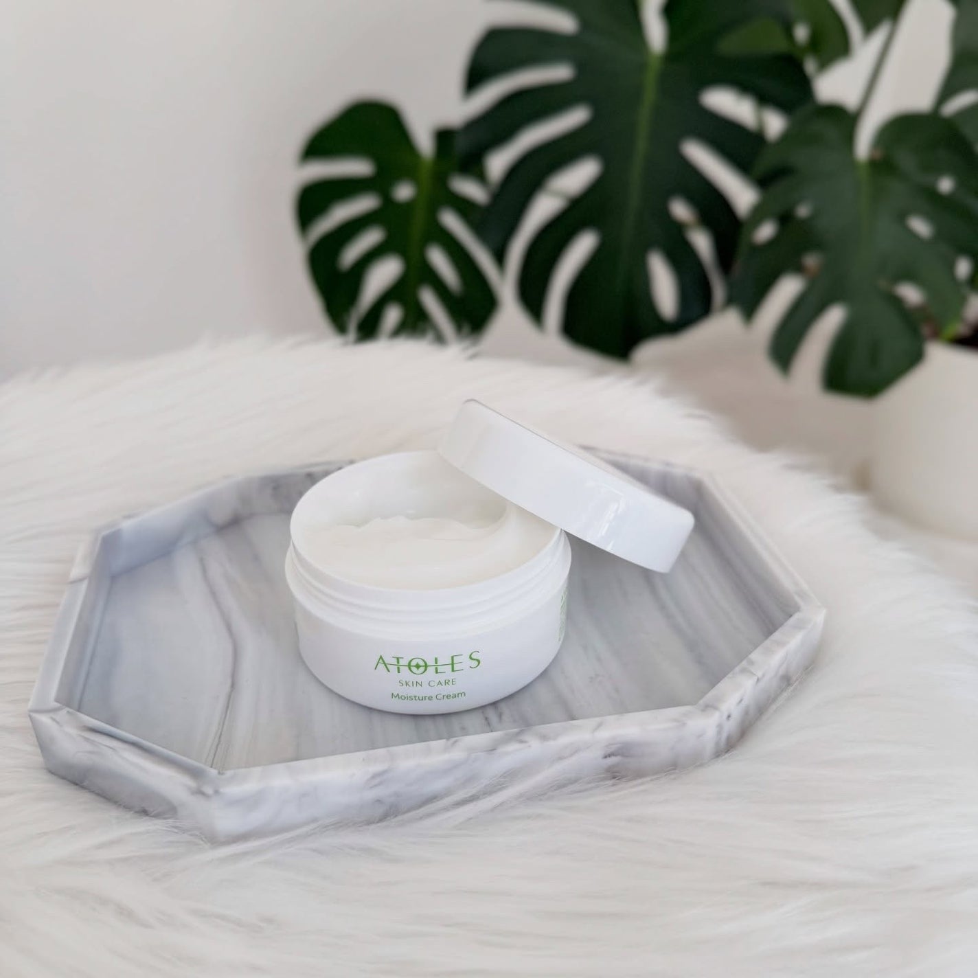 モイスチャーローション/ATOLES SKINCARE/化粧水を使ったクチコミ(4枚目)