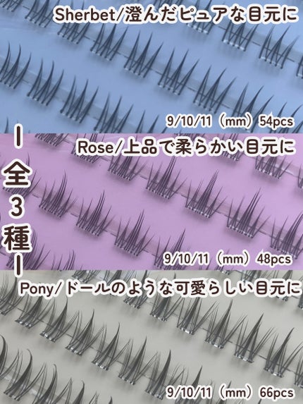 ããŒã°ã«ãŒã©ãã·ã¥/CCAM BBAK/ã€ããŸã€ãã䜿ã£ãã¯ãã³ãïŒ3æç®ïŒ