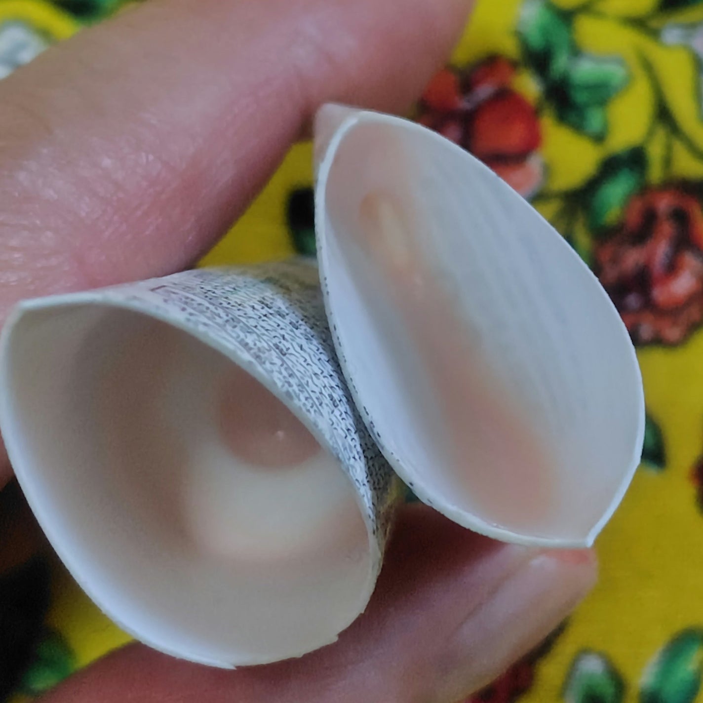 UV エサンシエル/CHANEL/日焼け止めクリームを使ったクチコミ(2枚目)