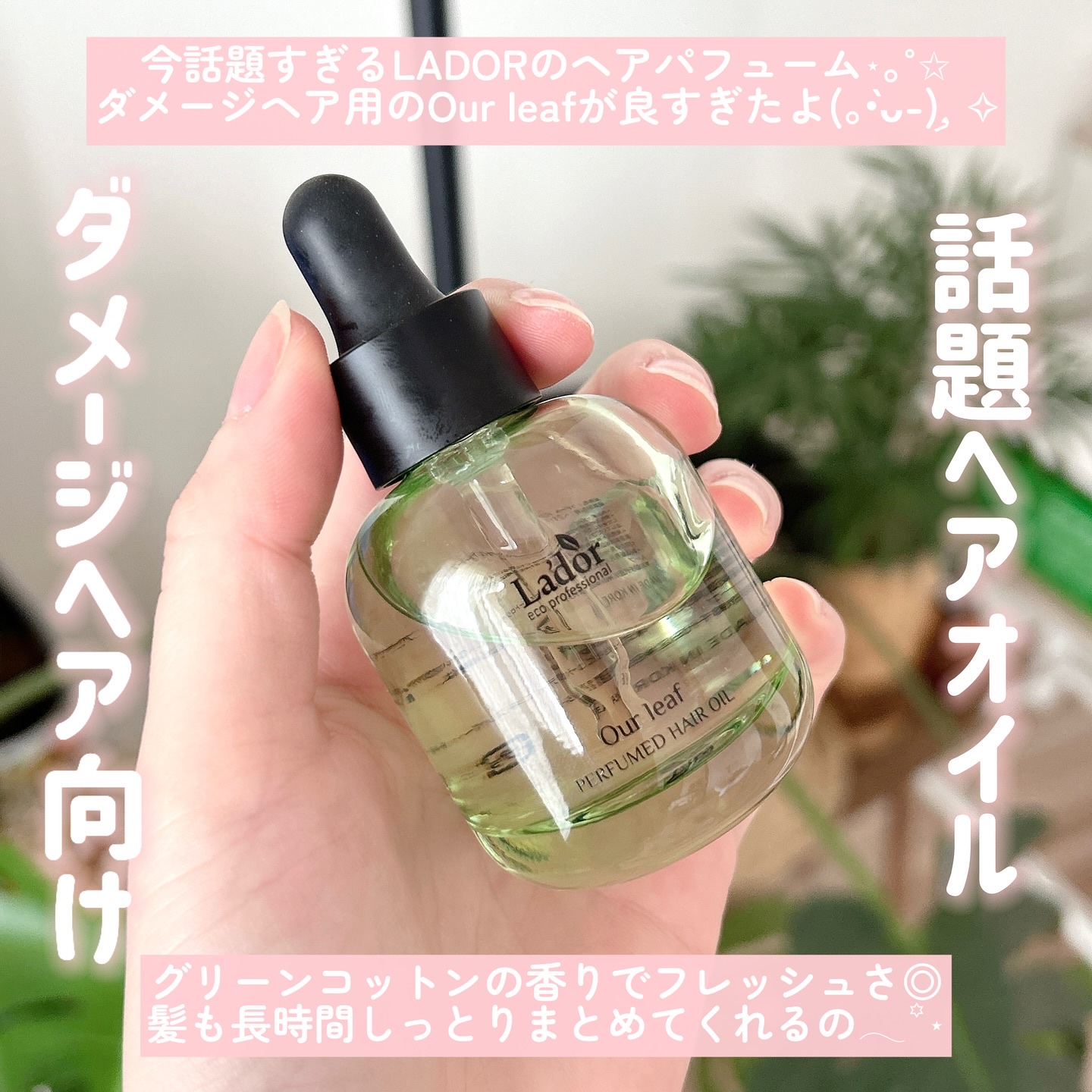 パフュームヘアオイル アワーリーフ/La'dor/ヘアオイルを使ったクチコミ（2枚目）