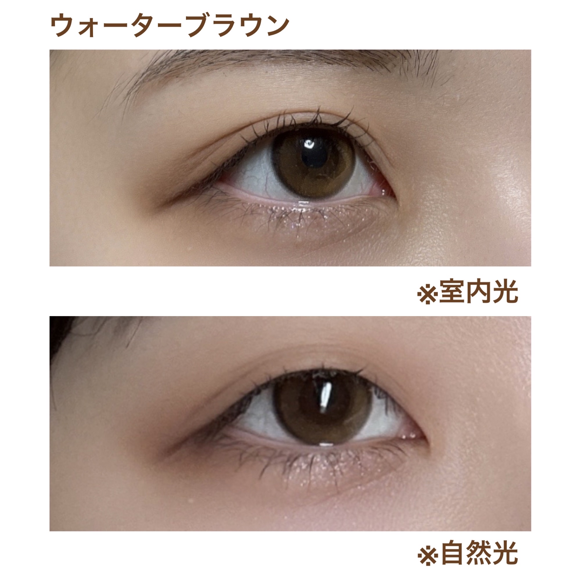 YURIAL 1DAY ウォーターブラウン/URIA i-DOL/ワンデー（１DAY）カラコンを使ったクチコミ（1枚目）