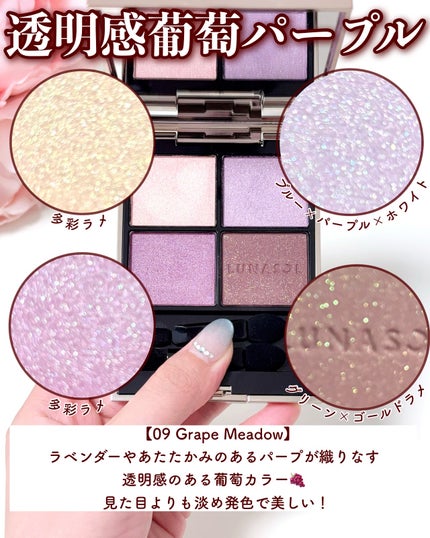 ルナソル アイカラーレーションN/LUNASOL/アイシャドウパレットを使ったクチコミ(8枚目)