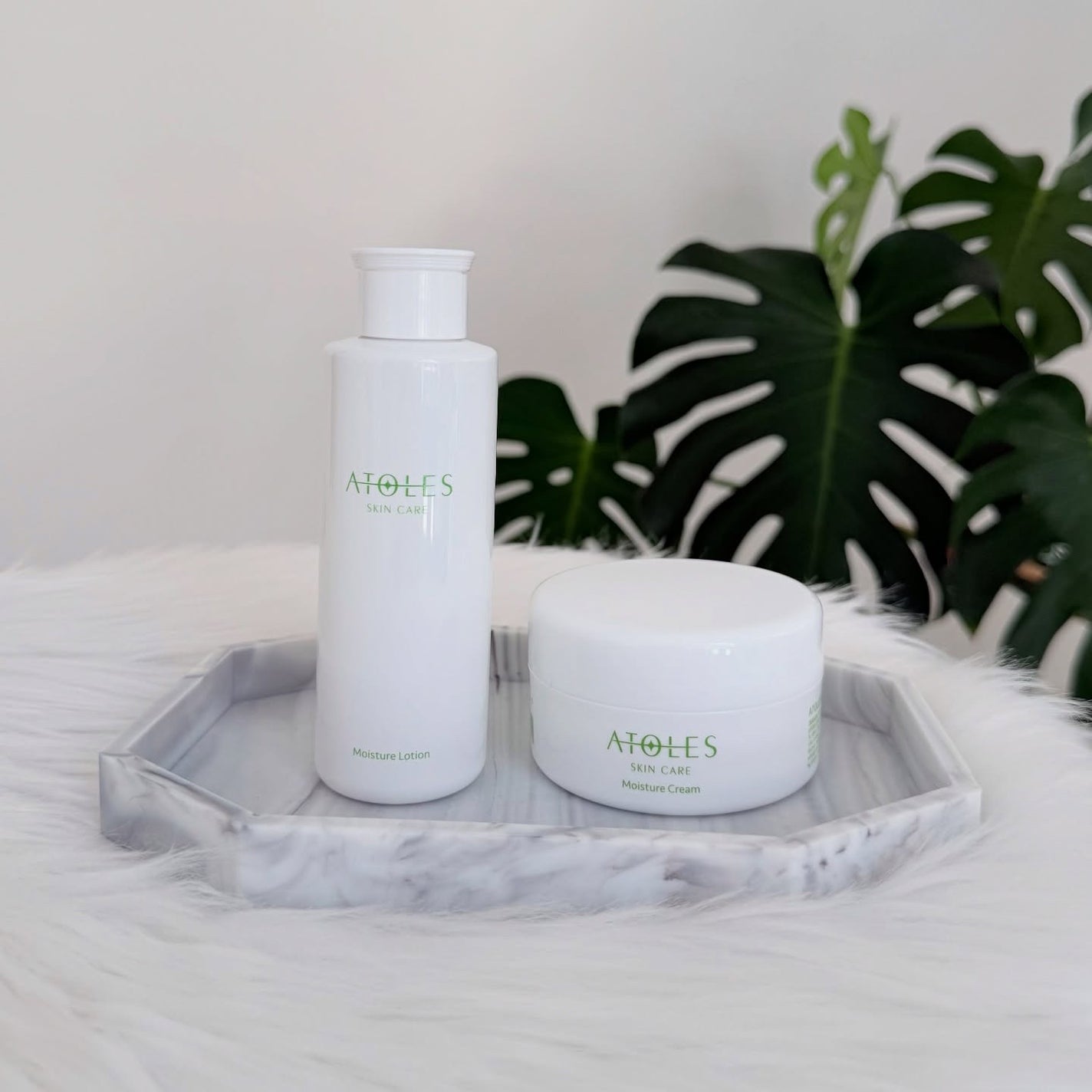 モイスチャーローション/ATOLES SKINCARE/化粧水を使ったクチコミ(1枚目)