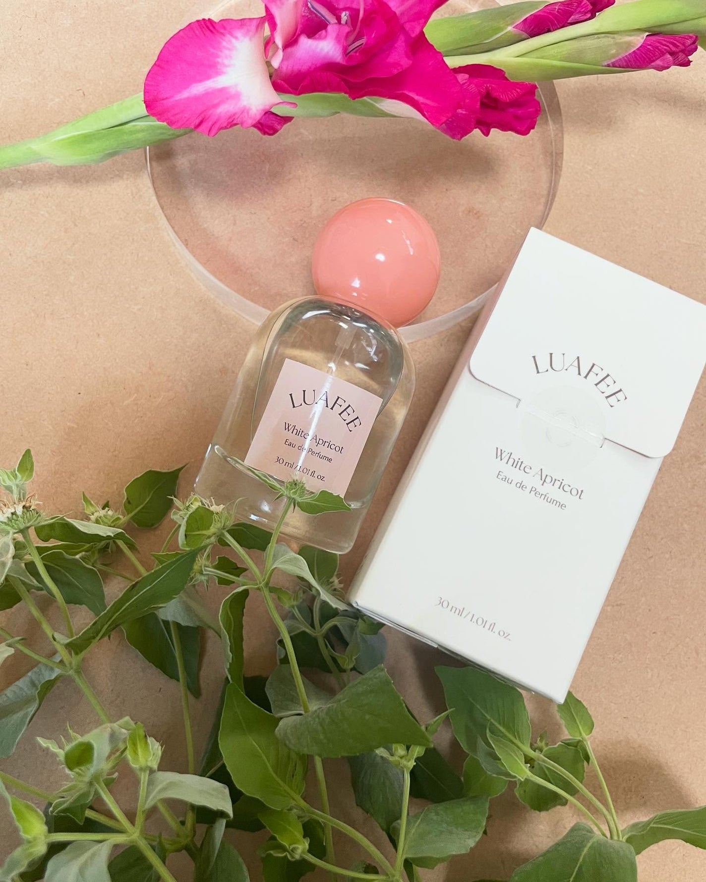 namugi122 on LIPS 「ルアペホワイトアプリコットオードパフューム30ml🍑爽やかで上..」(2枚目)