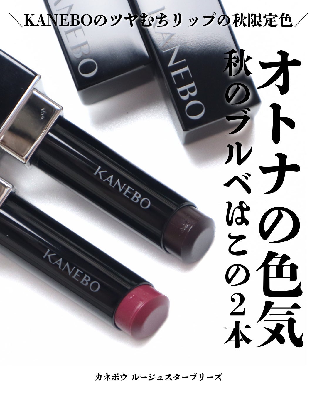 ルージュスターヴァイブラント/KANEBO/口紅を使ったクチコミ(1枚目)