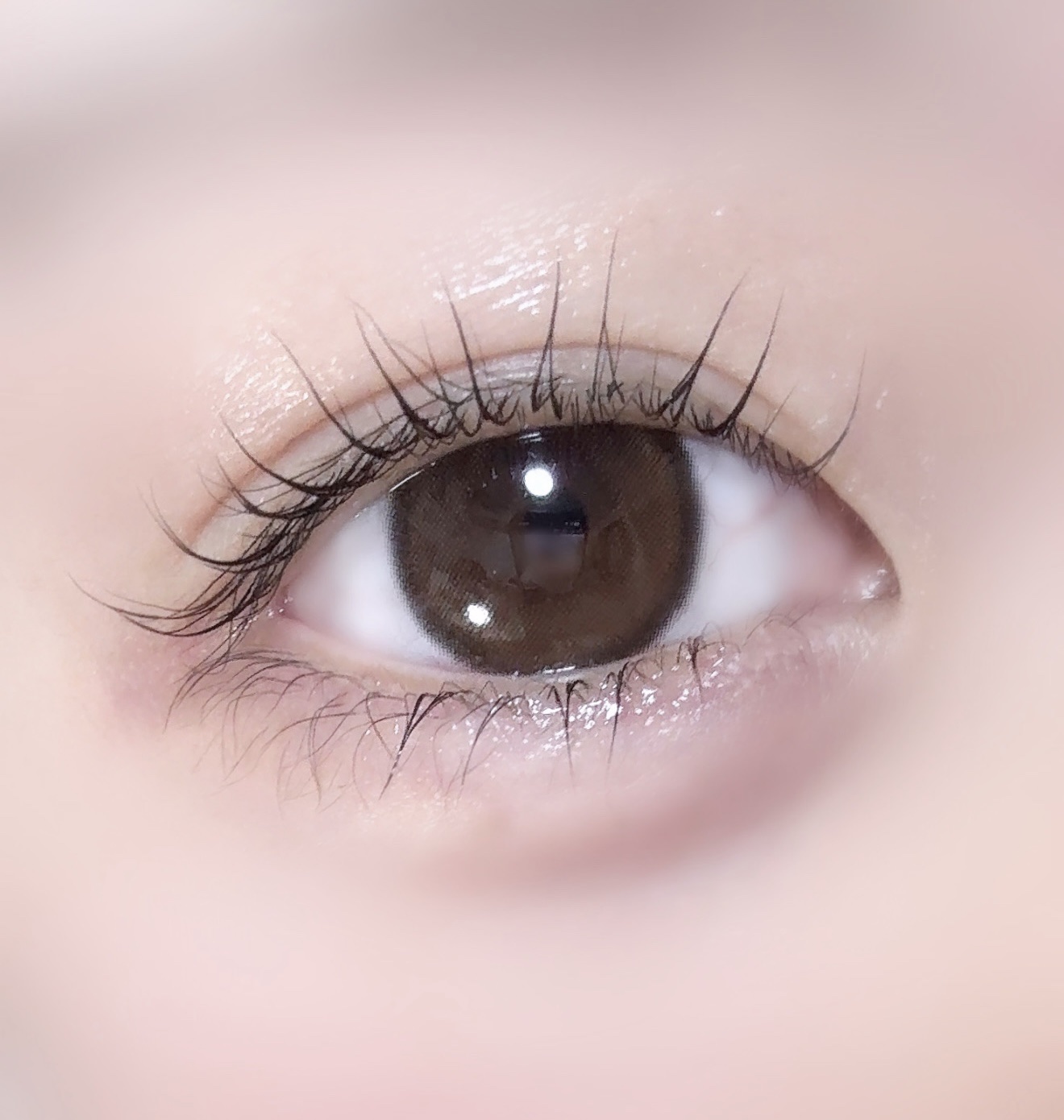 Quprie 1day/Quprié by R/ワンデー（１DAY）カラコンを使ったクチコミ（1枚目）