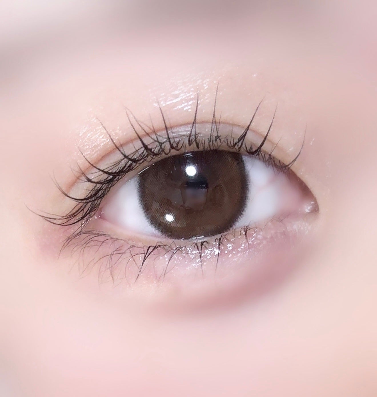 Quprie 1day/Quprié by R/ワンデー(1DAY)カラコンを使ったクチコミ(1枚目)