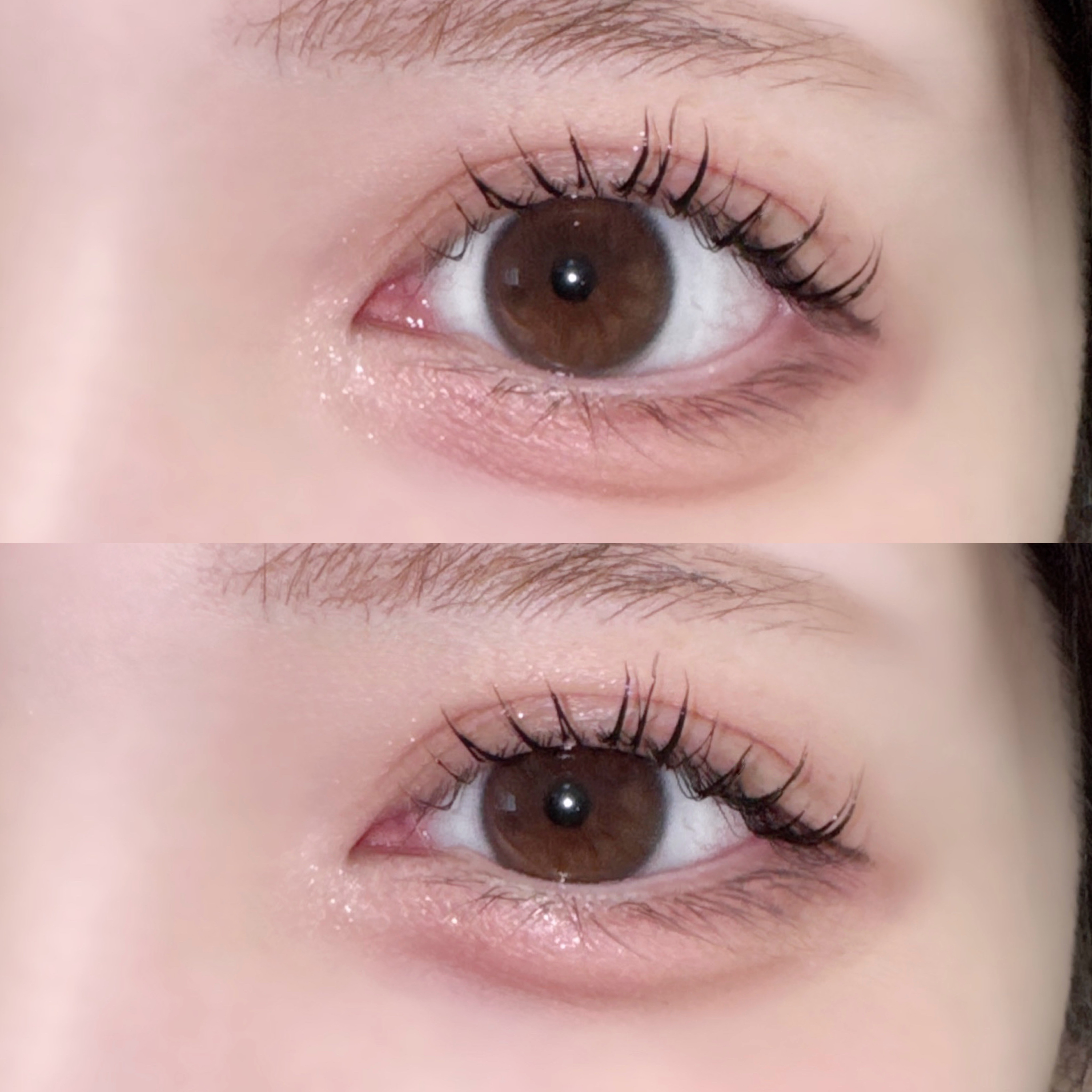 ぷくぷく涙袋パレット/MilleFée/アイシャドウパレットを使ったクチコミ（1枚目）