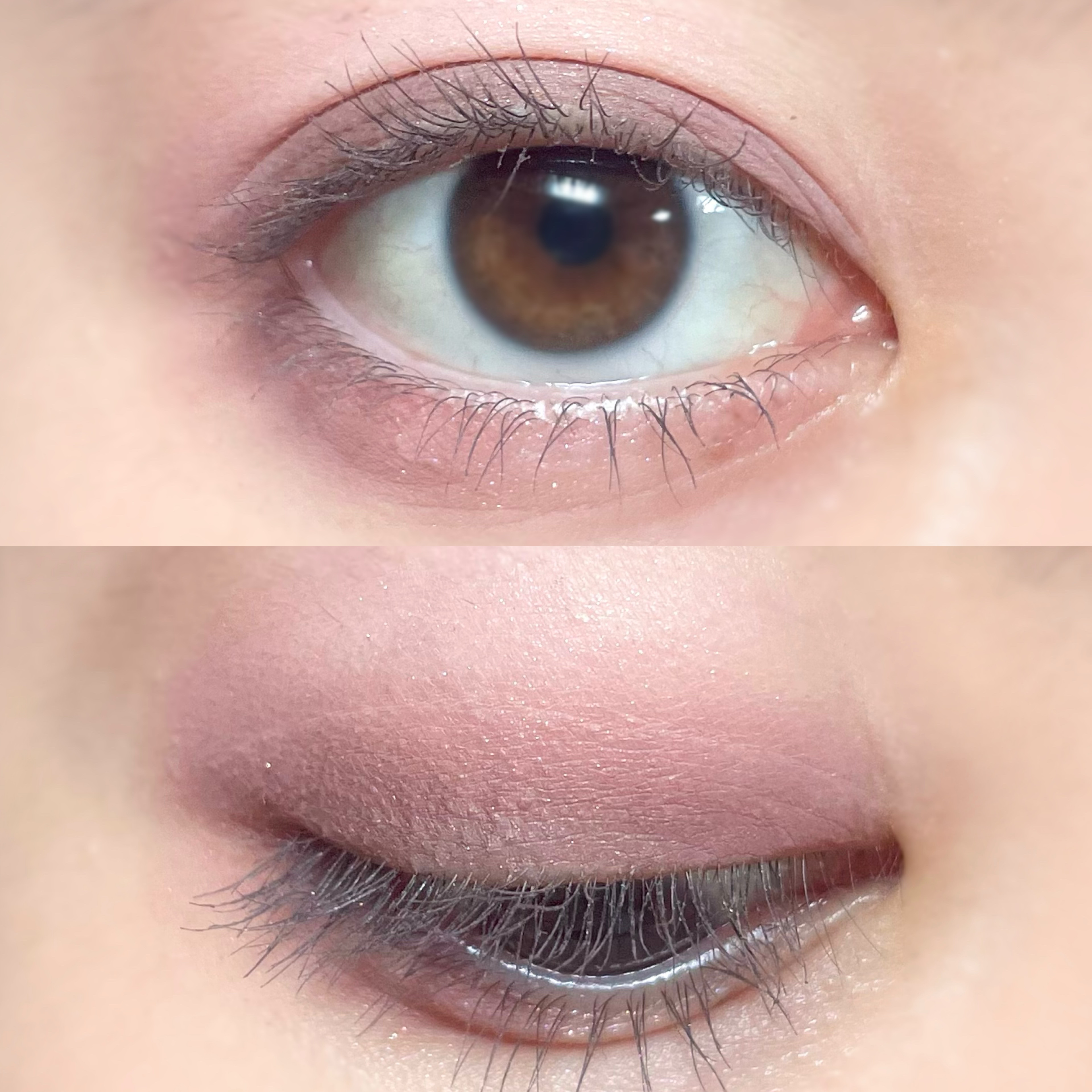 ソフトブラーリングアイパレット/wakemake/アイシャドウパレットを使ったクチコミ（3枚目）