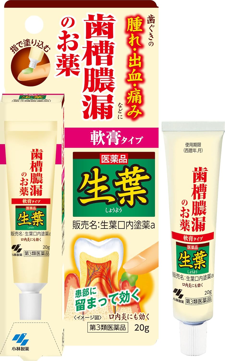 小林製薬 【第3類医薬品】生葉口内塗薬