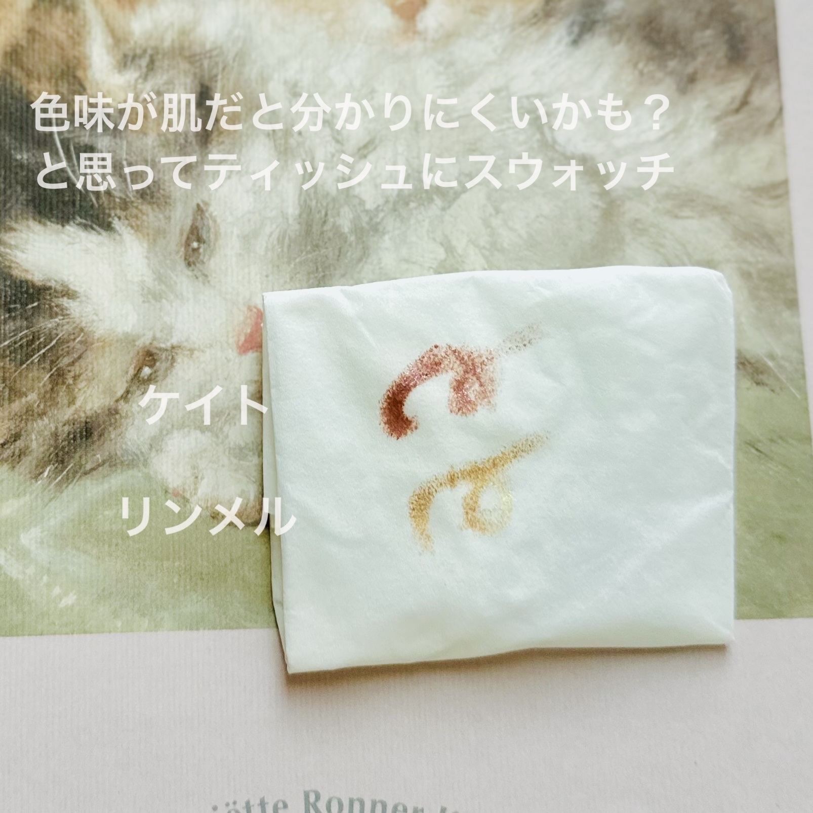 ワンダー ラスト アイシャドウ スティック/リンメル ロンドン/スティックアイシャドウを使ったクチコミ（2枚目）