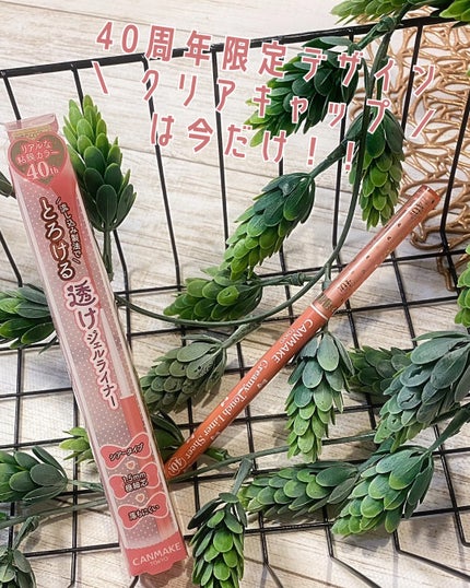 クリーミータッチライナー シアー/キャンメイク/ジェルアイライナーを使ったクチコミ(6枚目)