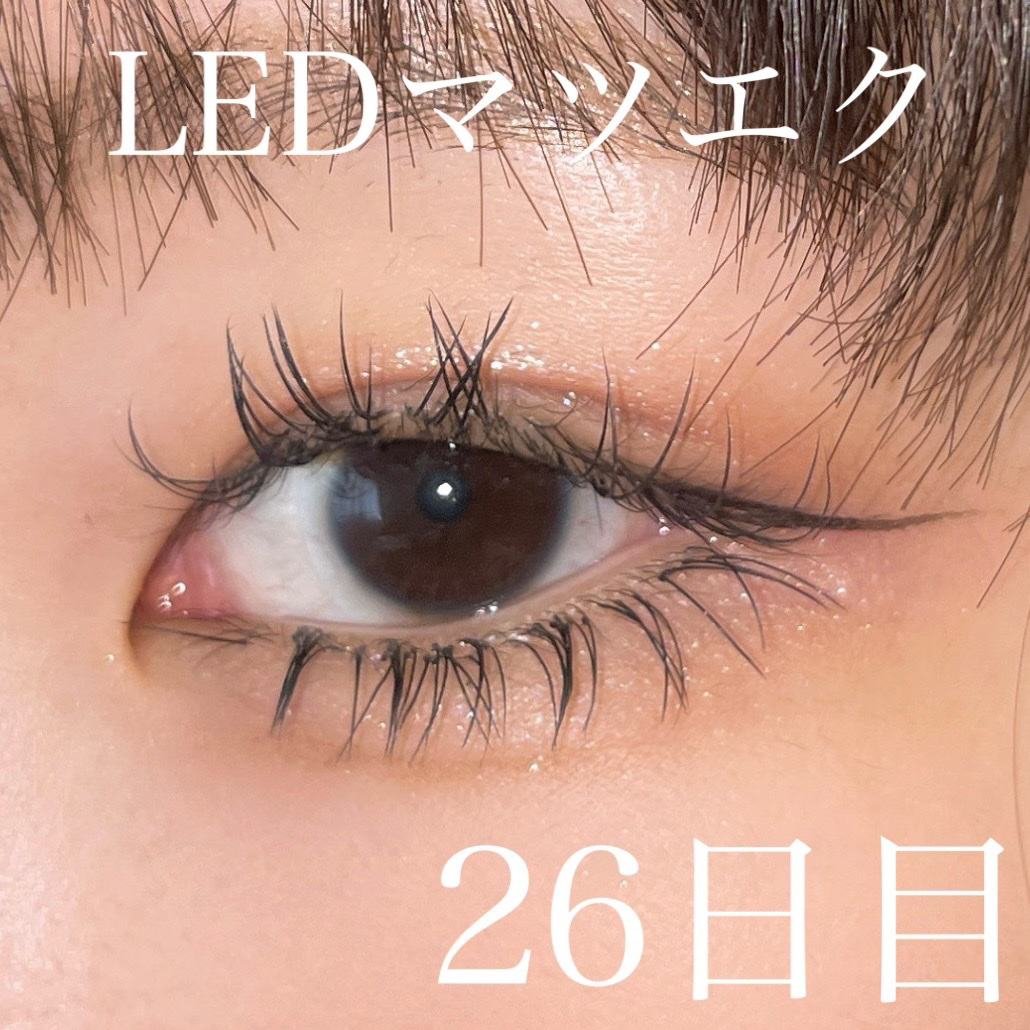 シャドウパレット/dasique/アイシャドウパレットを使ったクチコミ（1枚目）