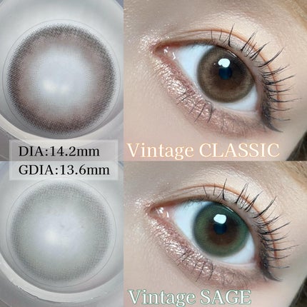 Angelcolor Bambi Series Vintage 1day/AngelColor/ワンデー(1DAY)カラコンを使ったクチコミ(2枚目)